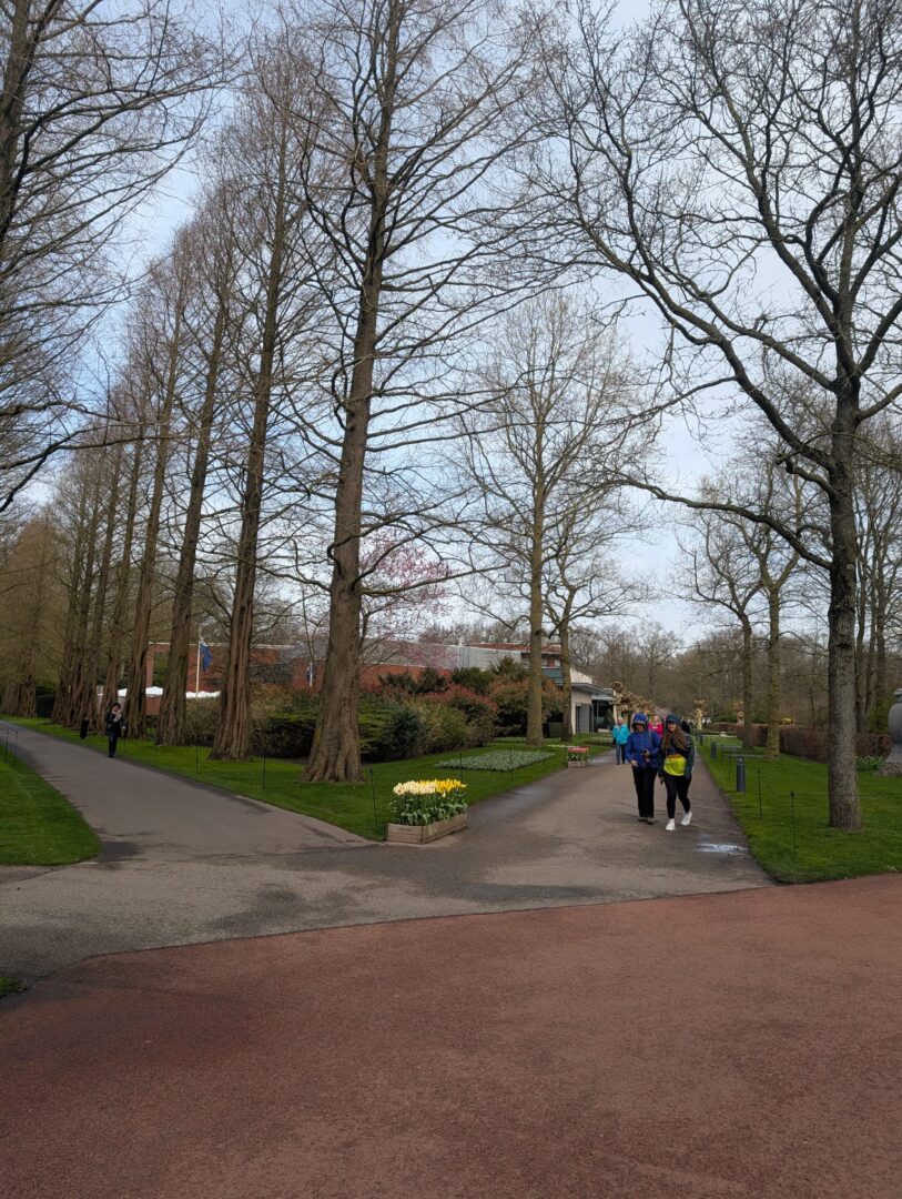 WhatsApp Image 2026-03-30 at 15.18.12(3)