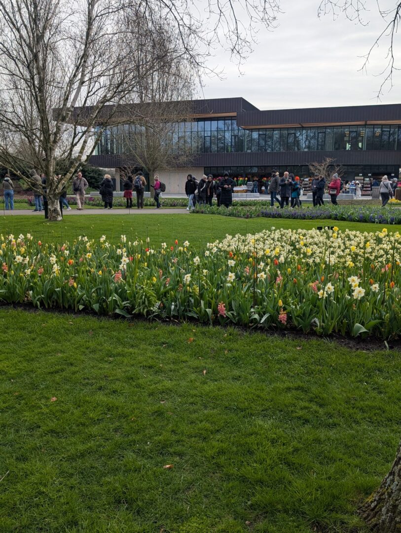 WhatsApp Image 2026-03-30 at 15.18.12(4)