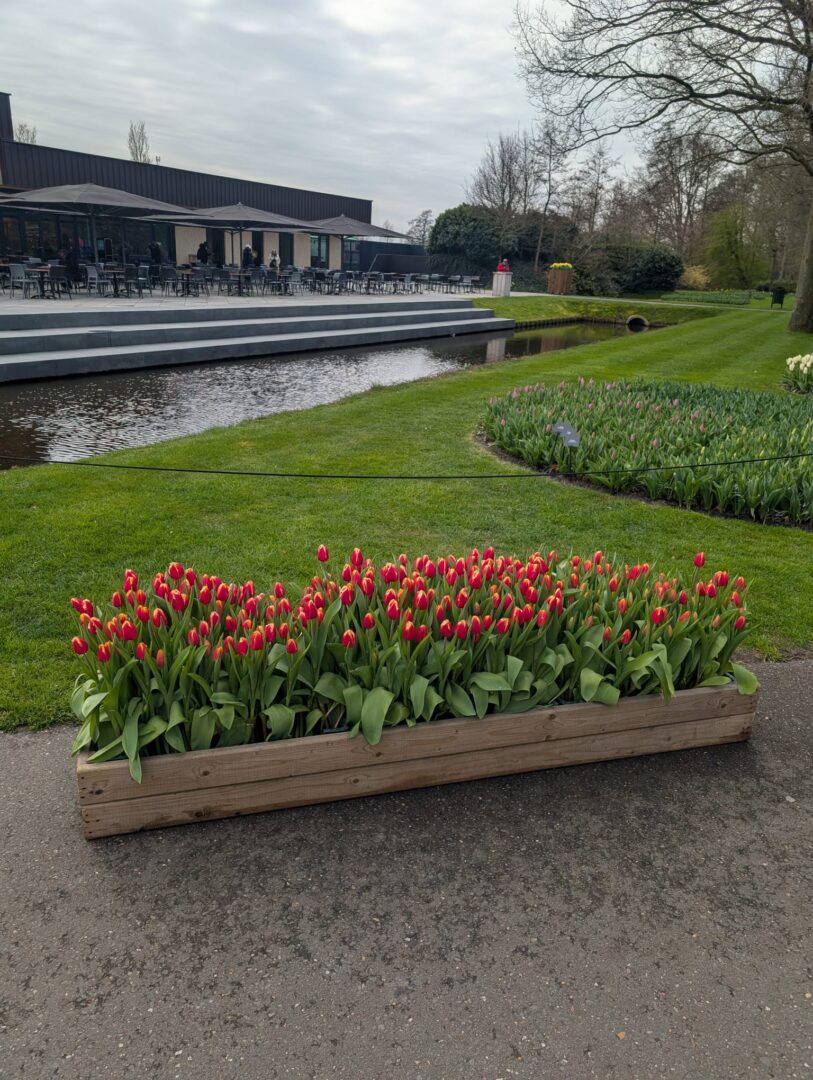 WhatsApp Image 2026-03-30 at 15.18.12(5)