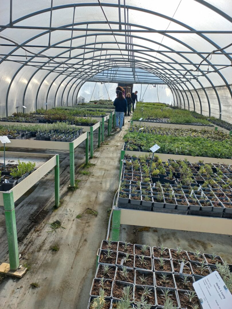 WhatsApp Image 2026-04-02 at 18.30.03