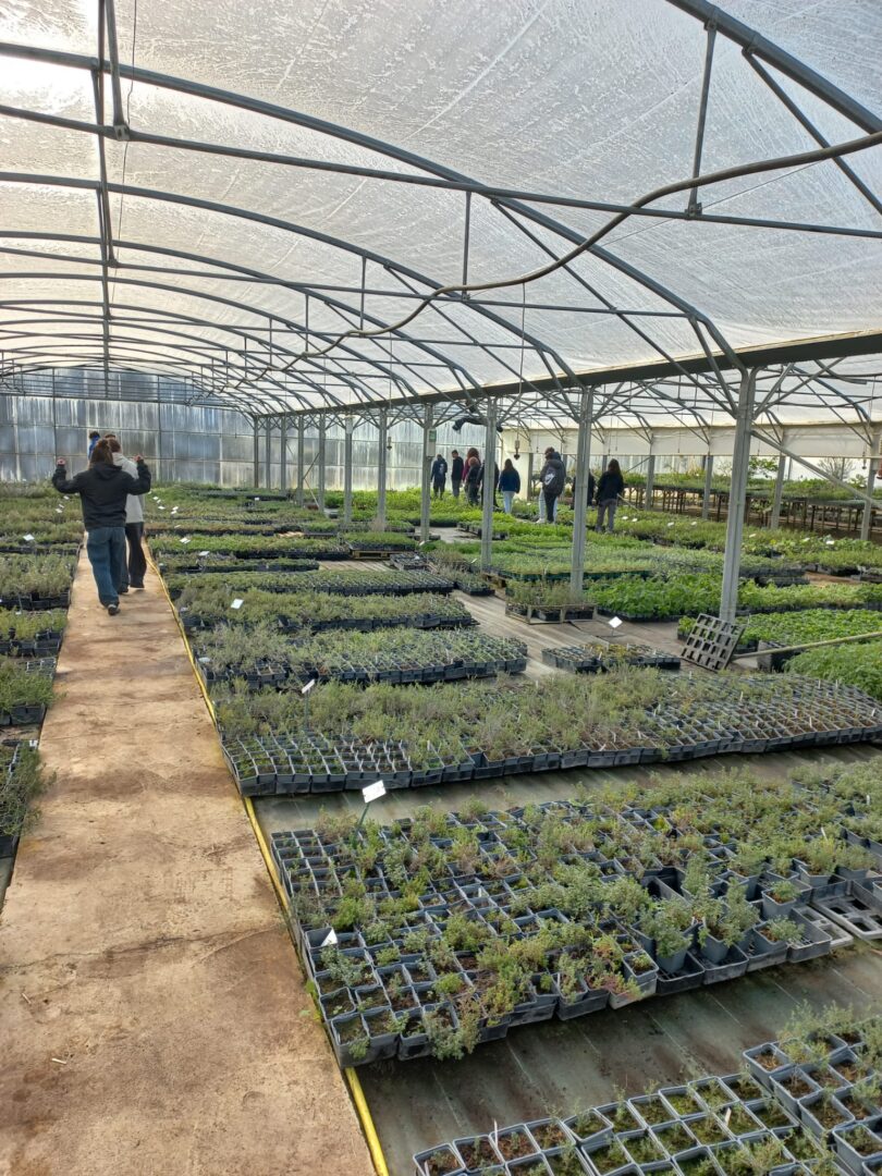 WhatsApp Image 2026-04-02 at 18.30.03(1)