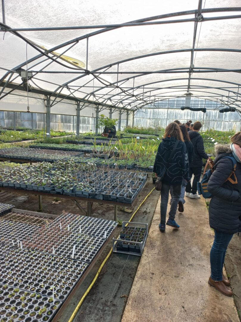 WhatsApp Image 2026-04-02 at 18.30.05