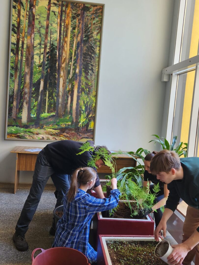 WhatsApp Image 2026-04-28 at 15.17.24