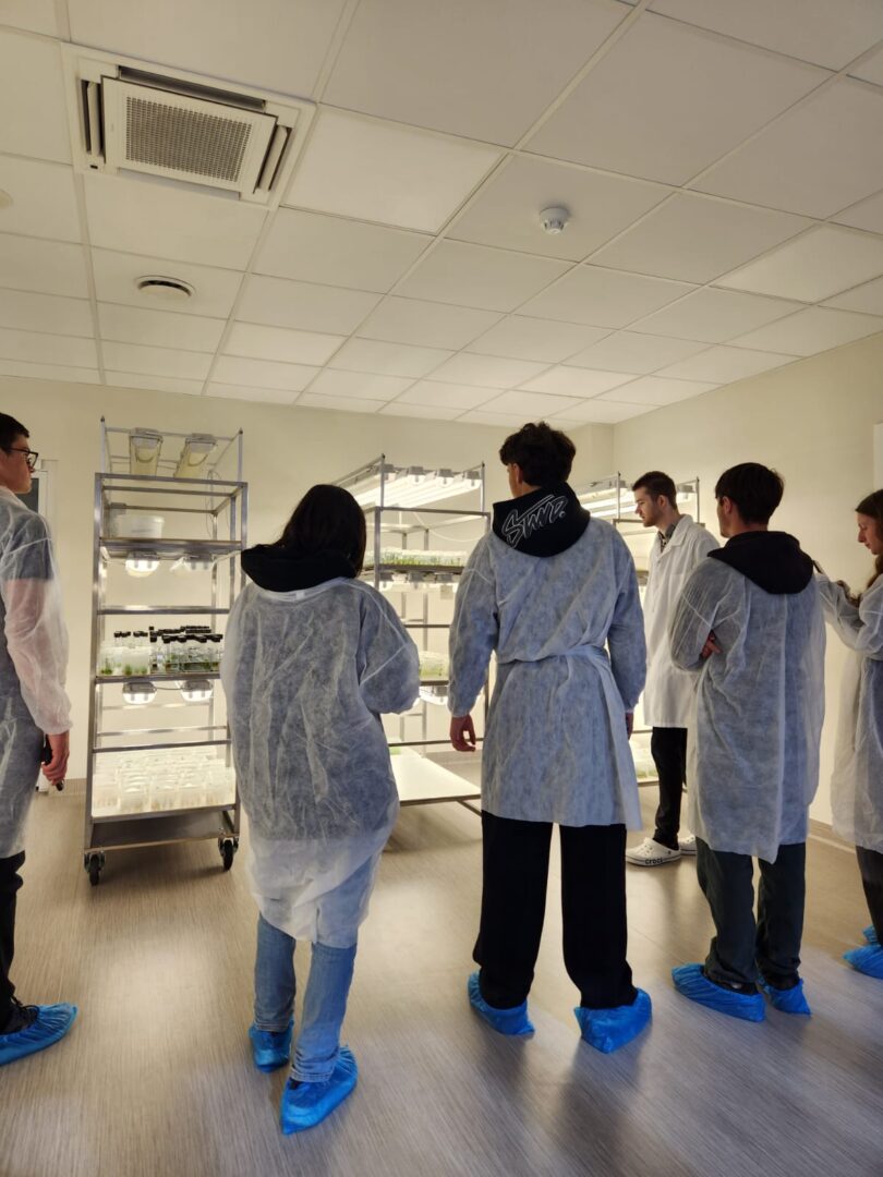 WhatsApp Image 2026-04-28 at 15.17.25