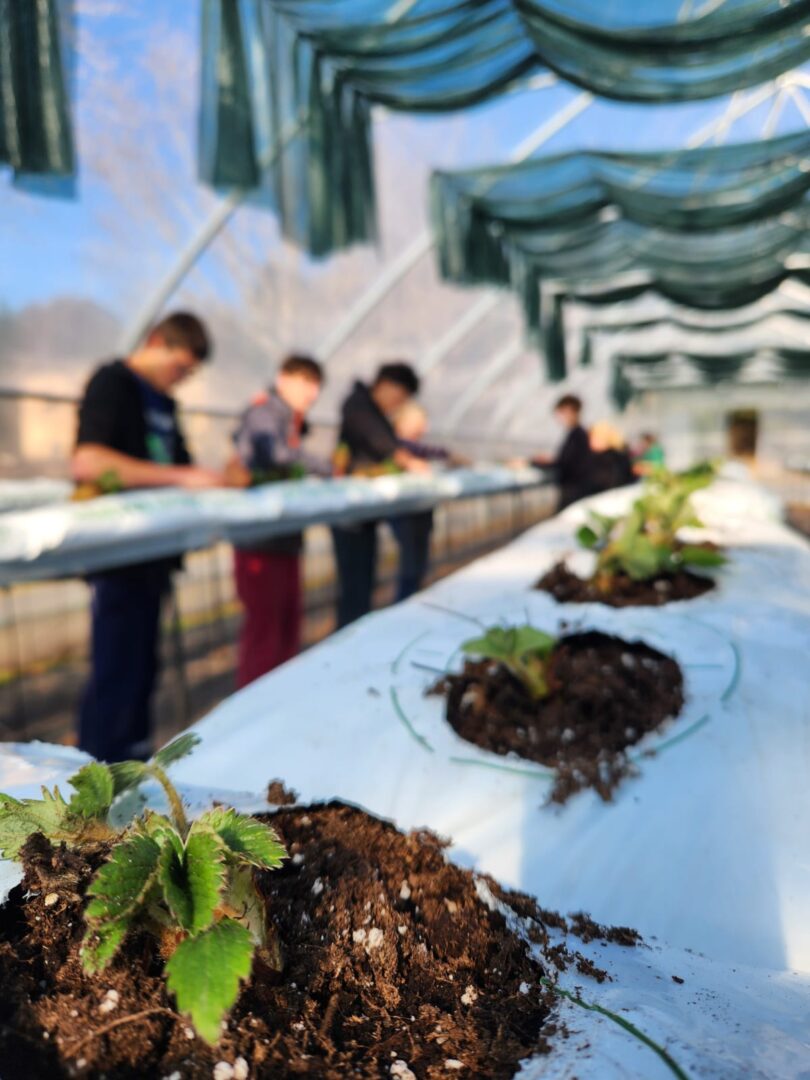 WhatsApp Image 2026-04-28 at 15.17.25(3)