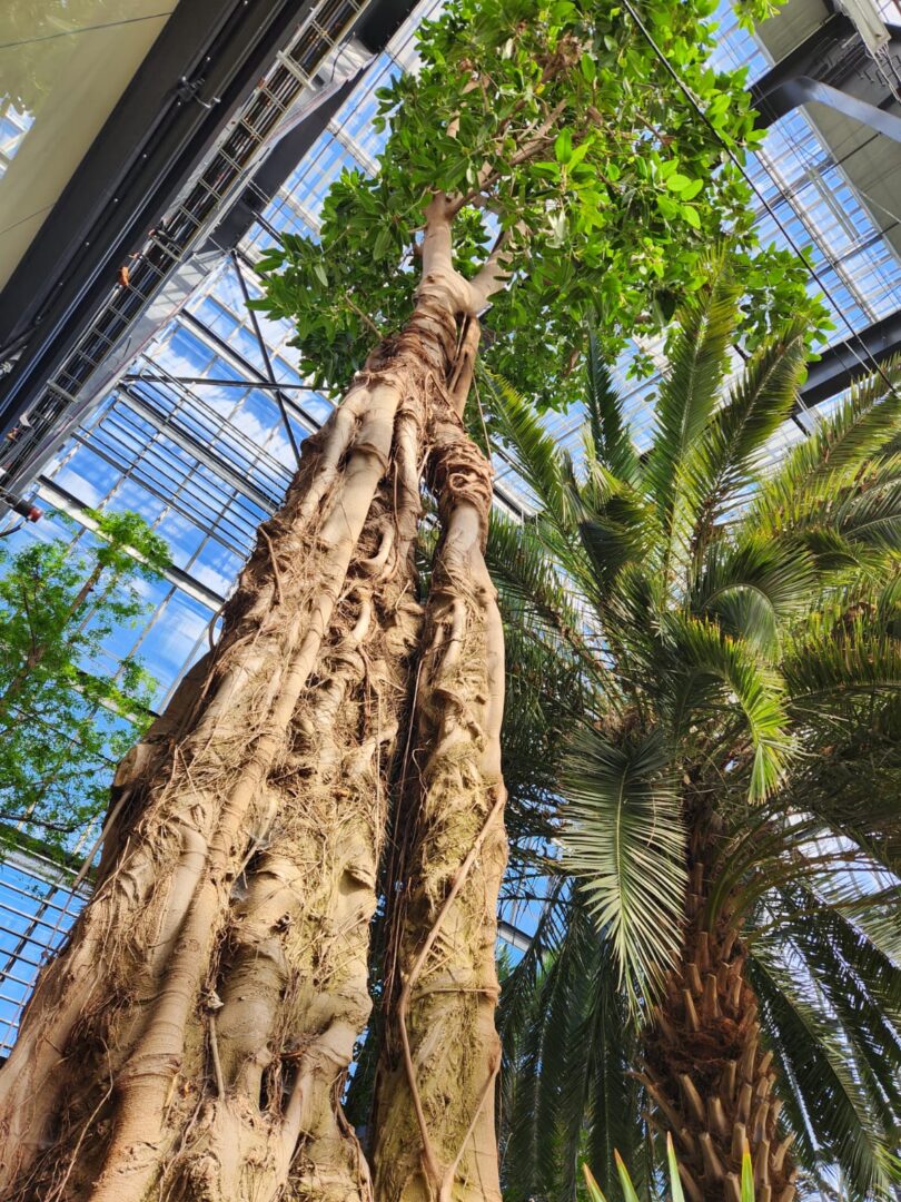 WhatsApp Image 2026-04-28 at 15.19.47