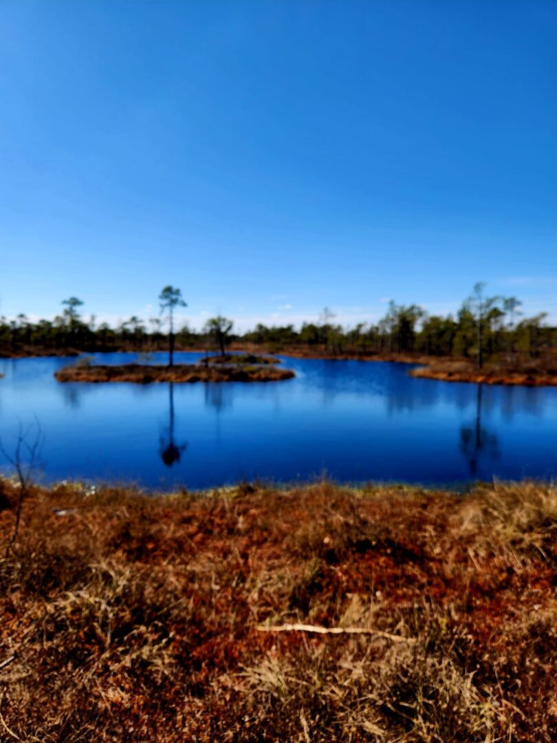 WhatsApp Image 2026-04-28 at 15.19.49