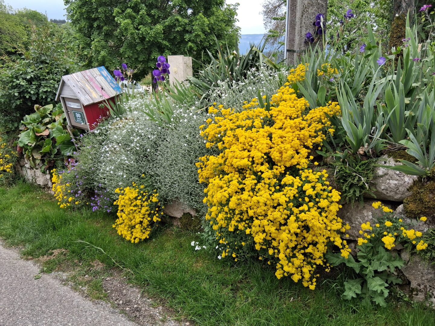Image 4