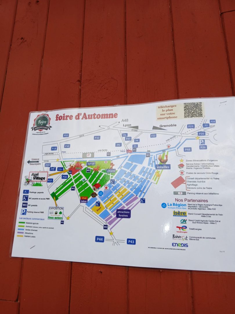 12-Plan