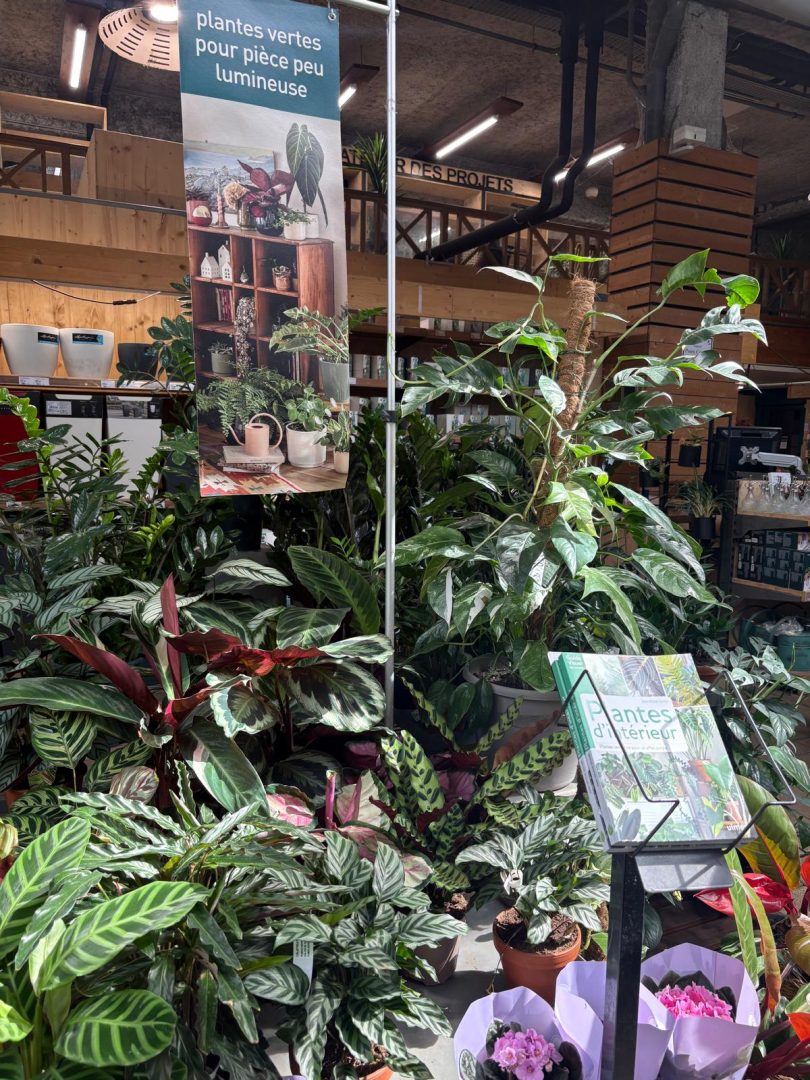 Botanic